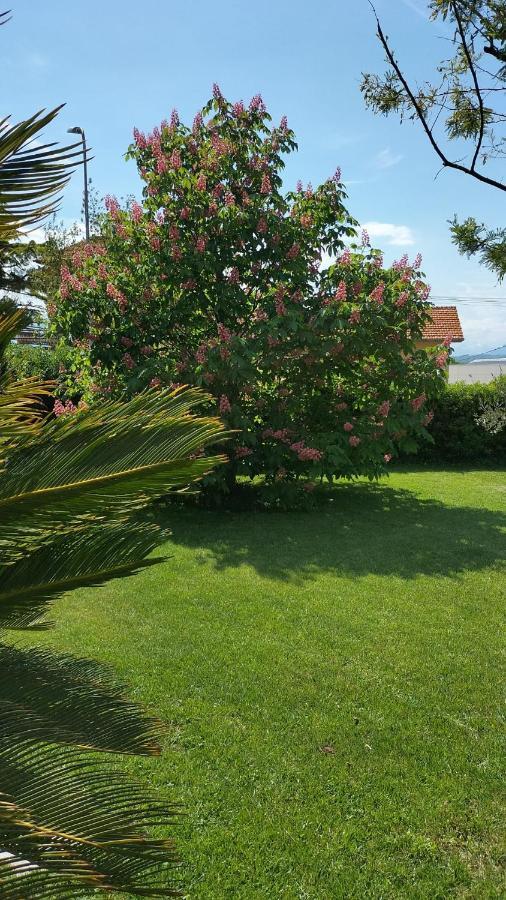 La Casa Degli Ippocastani Daire Colonnella Dış mekan fotoğraf