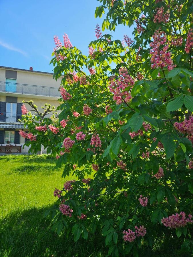 La Casa Degli Ippocastani Daire Colonnella Dış mekan fotoğraf